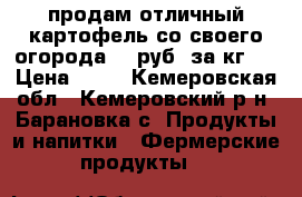 продам отличный картофель со своего огорода 12 руб. за кг.  › Цена ­ 12 - Кемеровская обл., Кемеровский р-н, Барановка с. Продукты и напитки » Фермерские продукты   